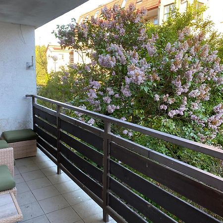 Lesne Apartamenty - Apartament Szary ヘル エクステリア 写真