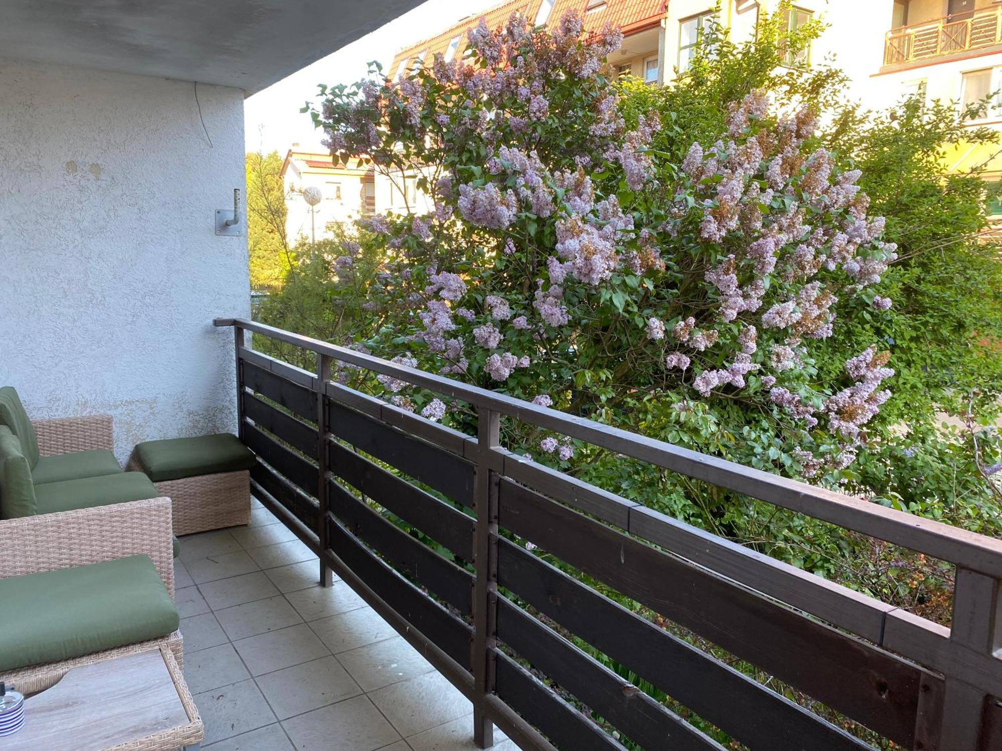 Lesne Apartamenty - Apartament Szary ヘル エクステリア 写真